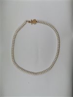 Collier Tous Femme Sweet Dolls in Perles 415902510 - 415902510